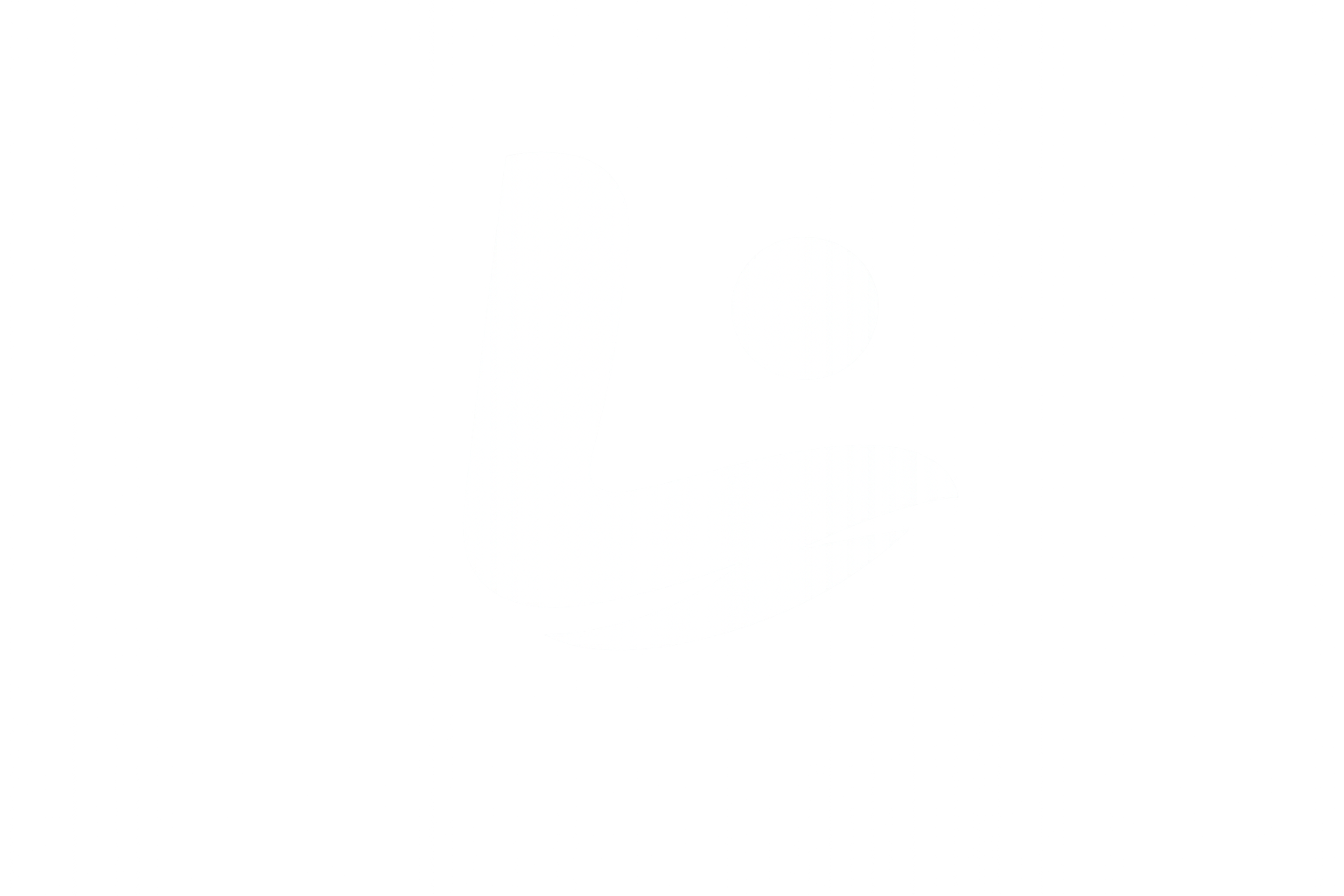 LIENZZO WEB BASIC